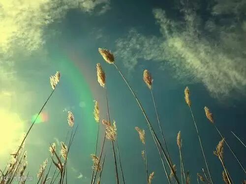 最美山水风景图片,唯美的世界各地风景图片大全