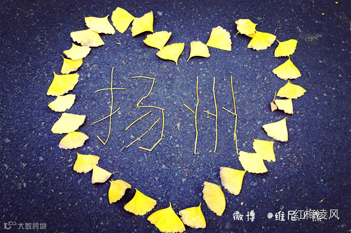 【江苏】如画卷般初冬最美的扬州时光