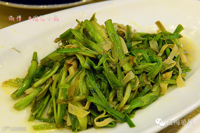 【江苏】如画卷般初冬最美的扬州时光