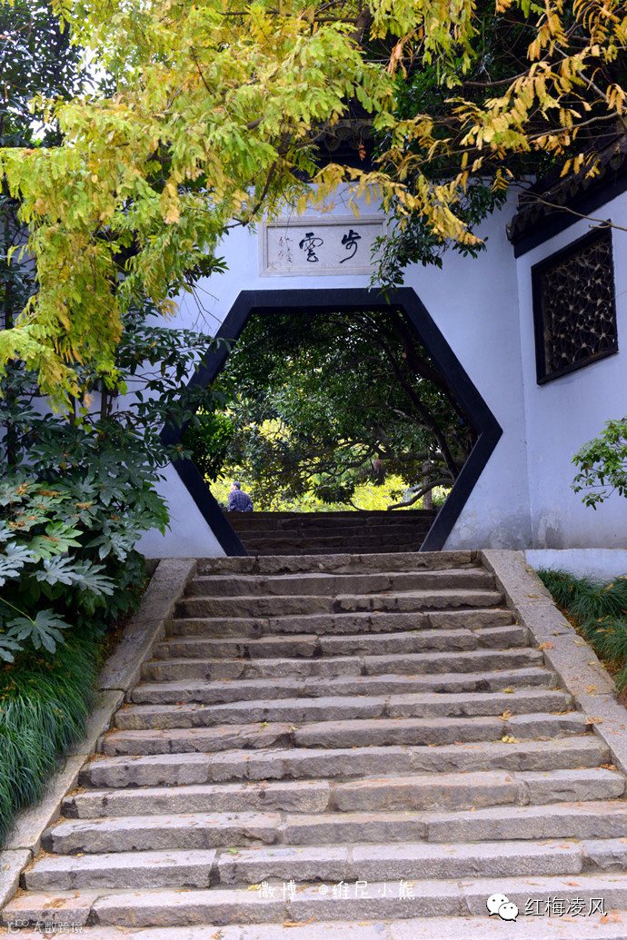 【江苏】如画卷般初冬最美的扬州时光