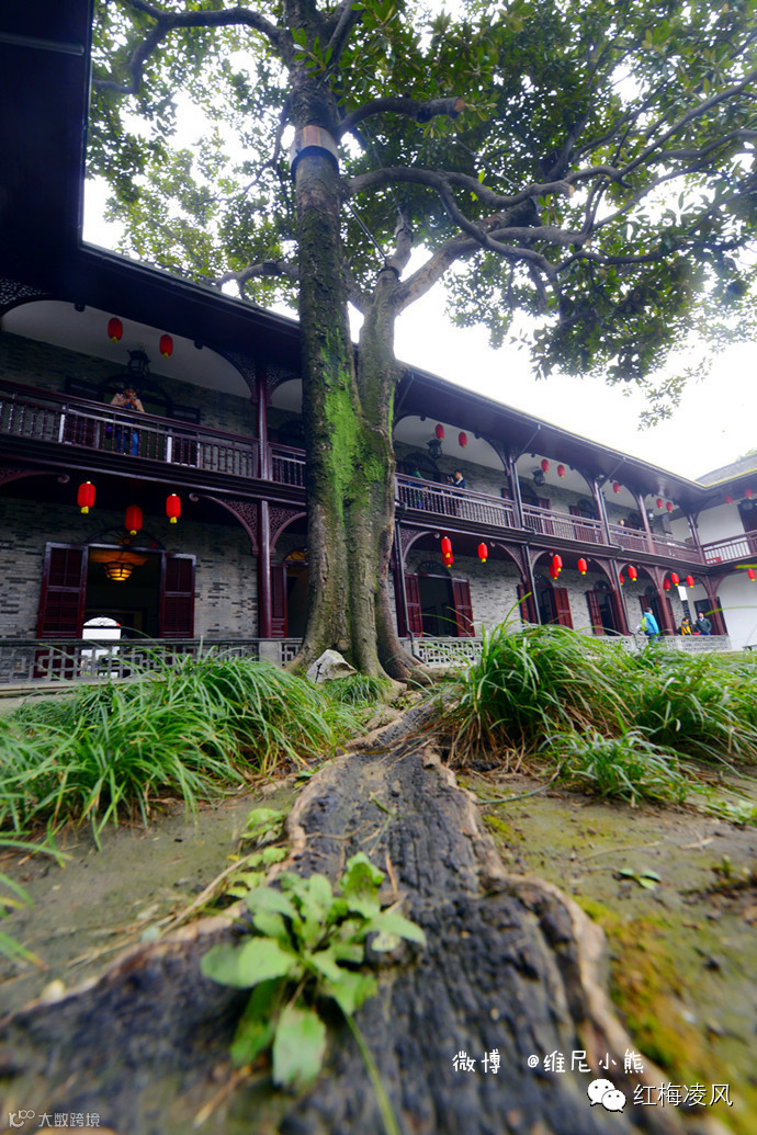 【江苏】如画卷般初冬最美的扬州时光