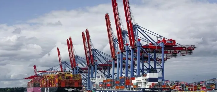 如何高效避坑？波兰牛奶进口代理实战策略