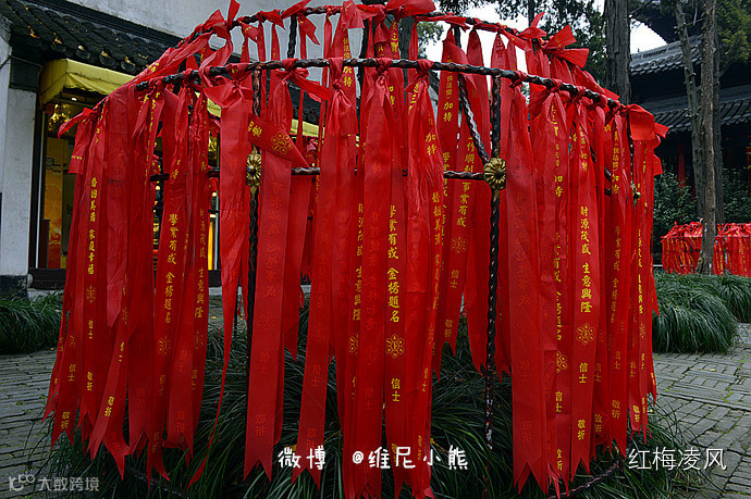 【江苏】如画卷般初冬最美的扬州时光