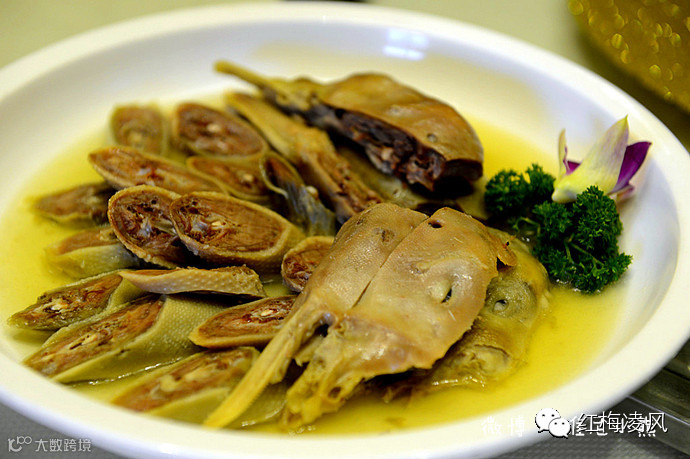 【江苏】如画卷般初冬最美的扬州时光