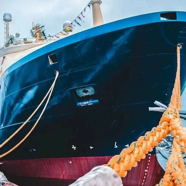 进口代理不交税是常见误区！正确认识税务责任以避免罚款和延误