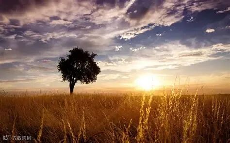 好看的风景图片大全高清原图下载,好看的风景图片大全,高清图片,壁纸,自然风景-桌面城市