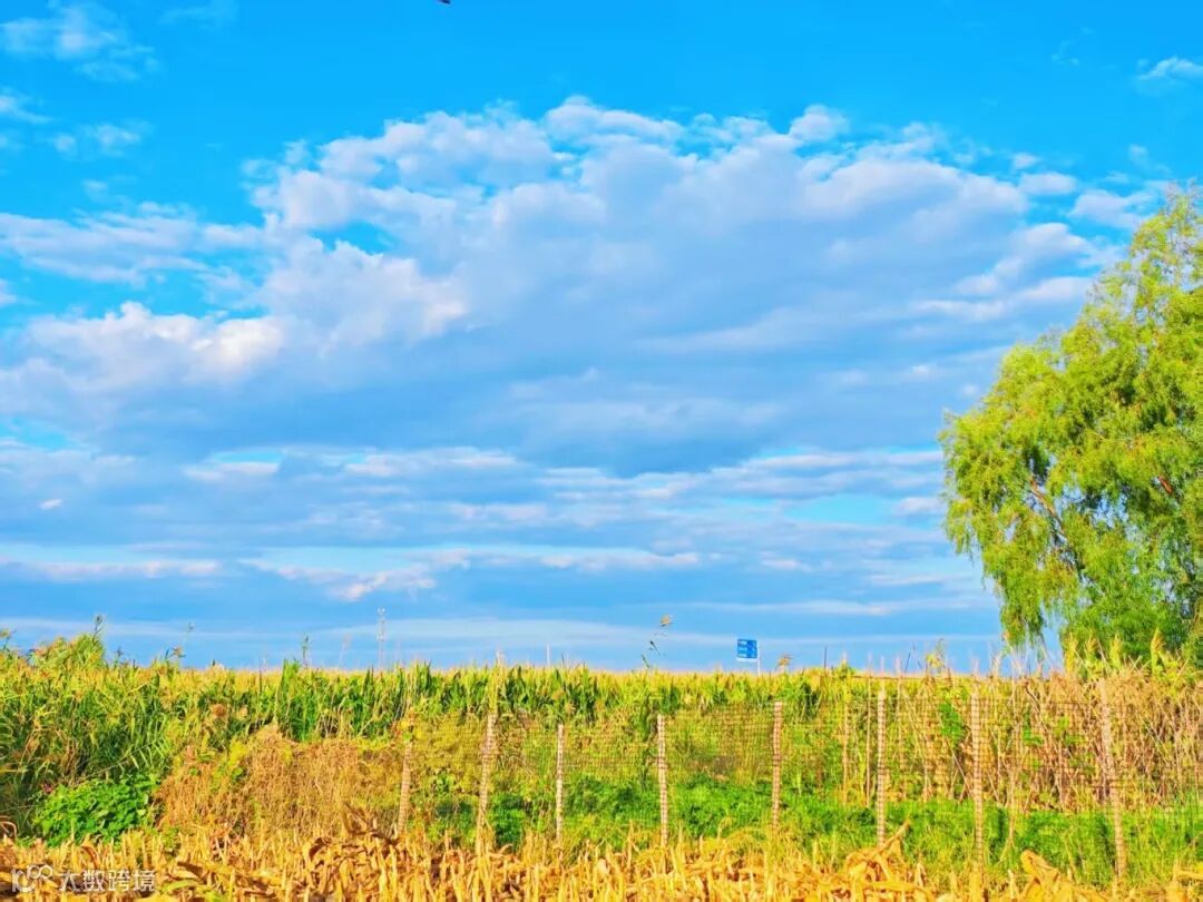 70.《云闲，漫过田畴》 摄影：张坤.jpg