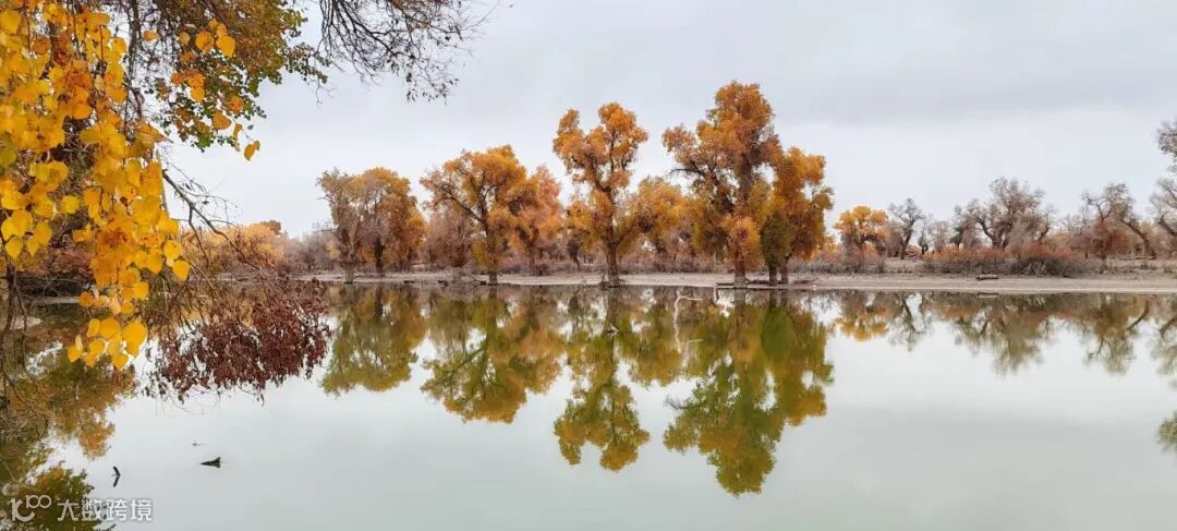 13.《千年守望》 摄影：李西良.jpg