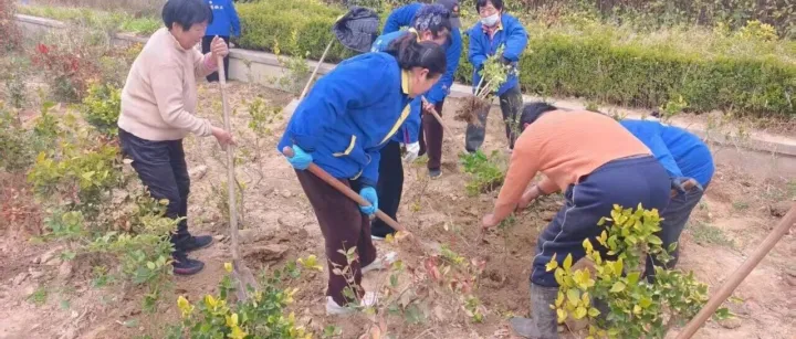 金通物业 | 春拂家园添新绿 精细养护焕新颜