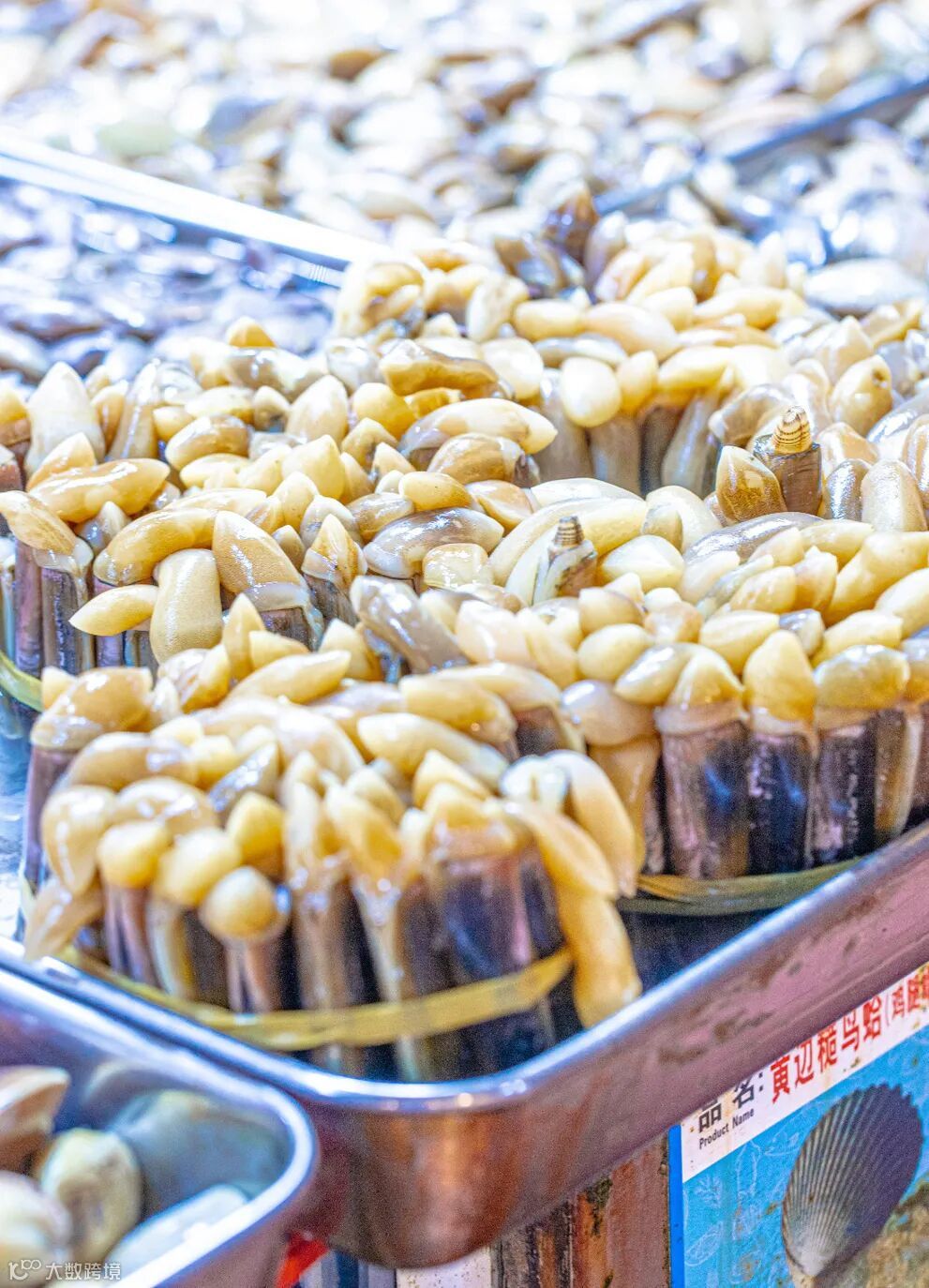 6 蓝色或黄色海鲜3.jpg