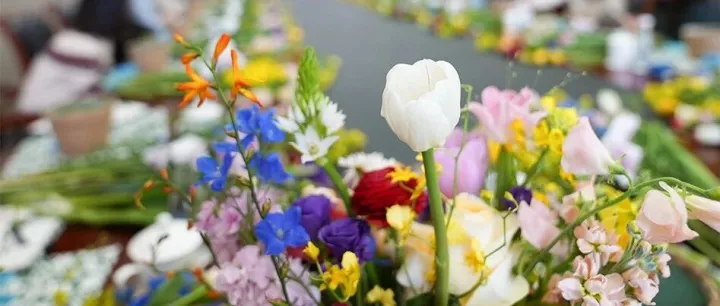 共筑芳華 幸福投資｜致閃閃發(fā)光的“她”