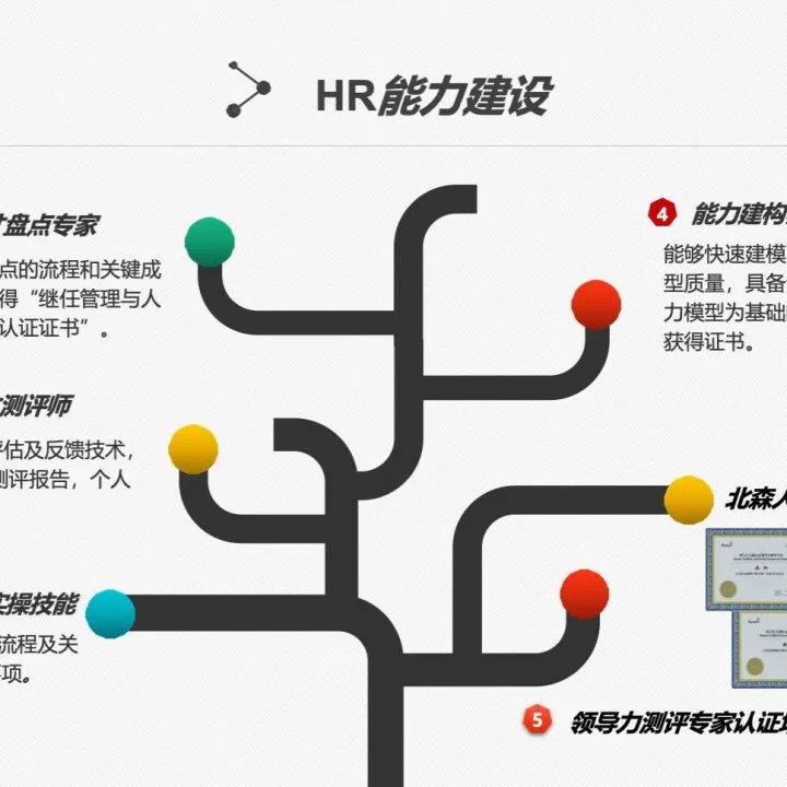 <em>P33</em>《京东人才盘点与实施方案》 .pptx