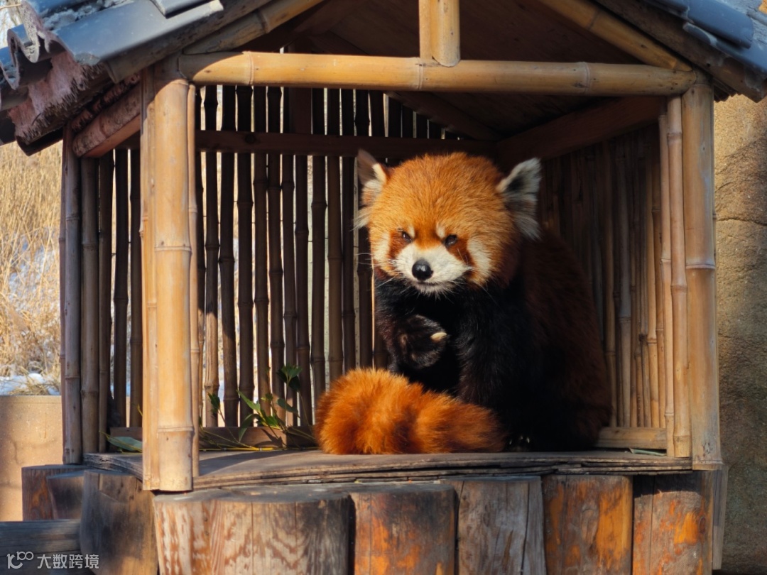 4.《岁月静好》 摄影：庞天阳.png