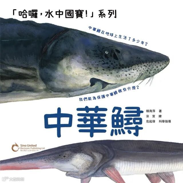 哈囉，水中國寶：中華鱘.jpeg