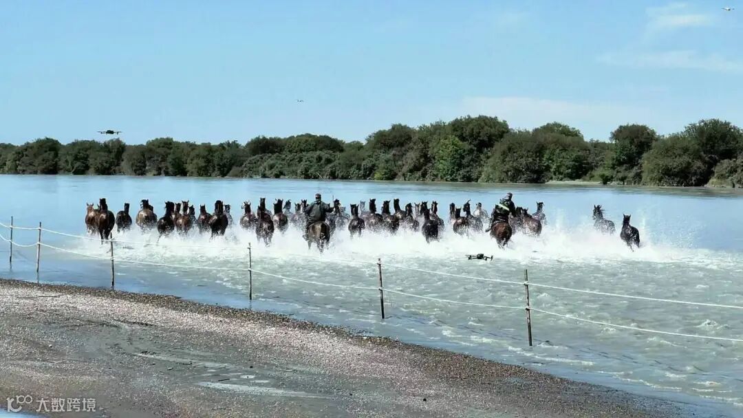 2.《重生》 摄影：李西良.jpg