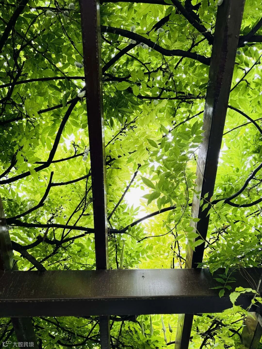 《夏》 摄影：罗丹.jpg