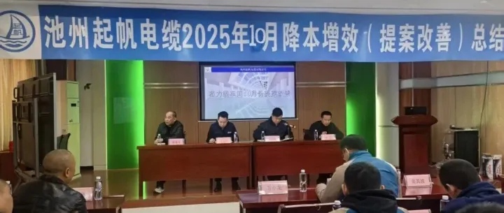 池州起帆电缆2025年10月降本增效（提案改善）总结大会