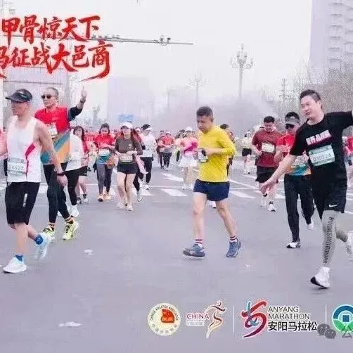 最终还是放弃了石家庄马拉松