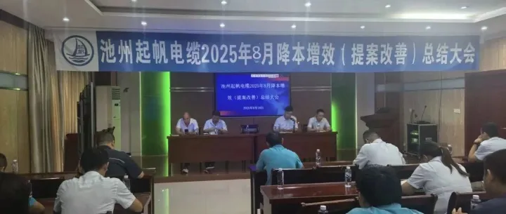 池州起帆电缆2025年8月降本增效（提案改善）总结大会