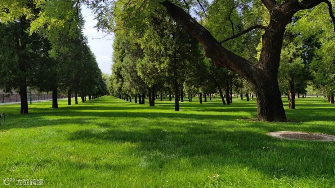 《生机》 摄影：赵冰.jpg