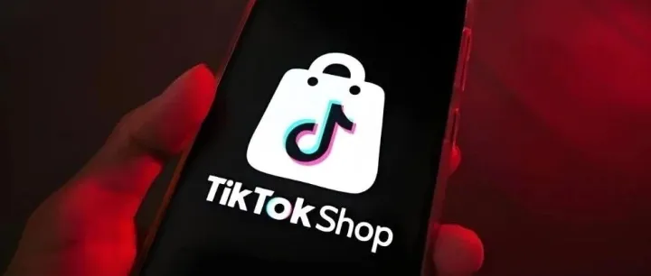 东南亚跨境店免费代<em>运营服务</em>