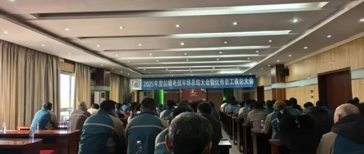 2025年度总结大会暨优秀员工表彰大会