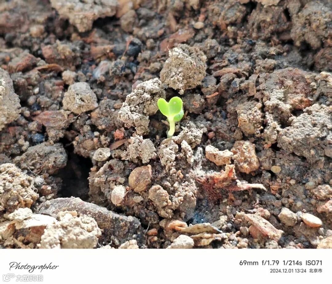 64.《向阳而生》 摄影：沈晶.jpg