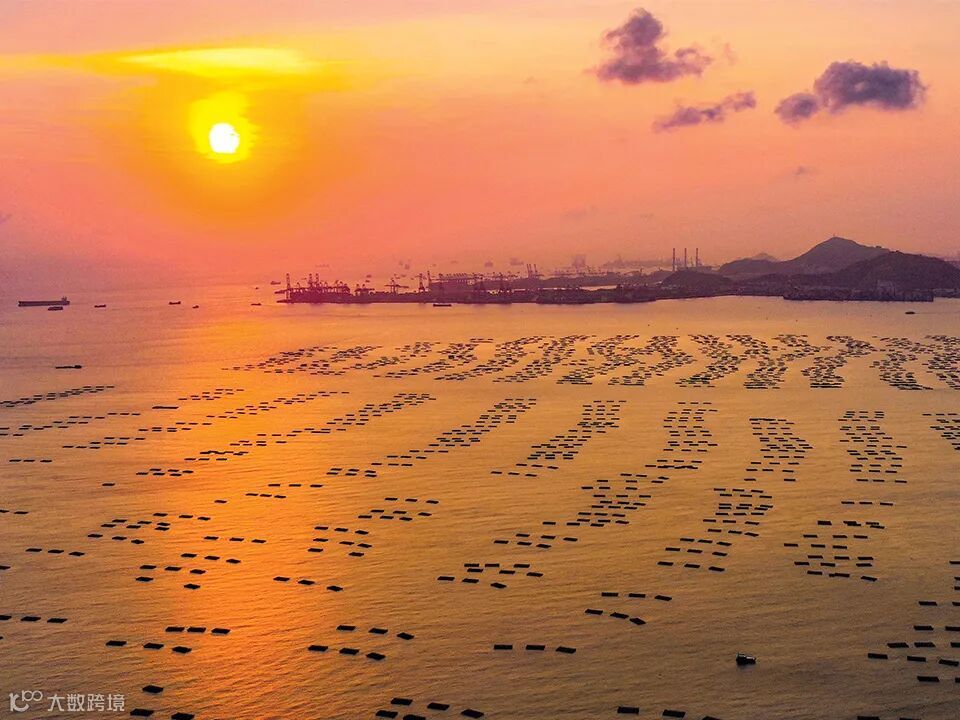 流浮山蠔：香港蠔為何就是與別不同？ | 香港旅遊發展局