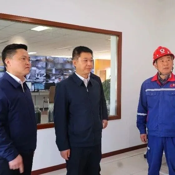 <em>樂山</em>市委副書記文甦到四川德勝集團水泥有限公司調(diào)研