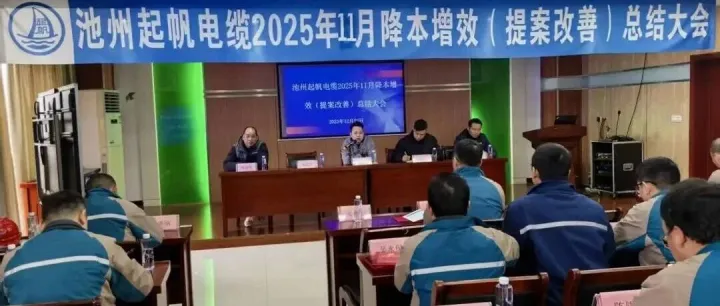 池州起帆电缆2025年11月降本增效（提案改善）总结大会