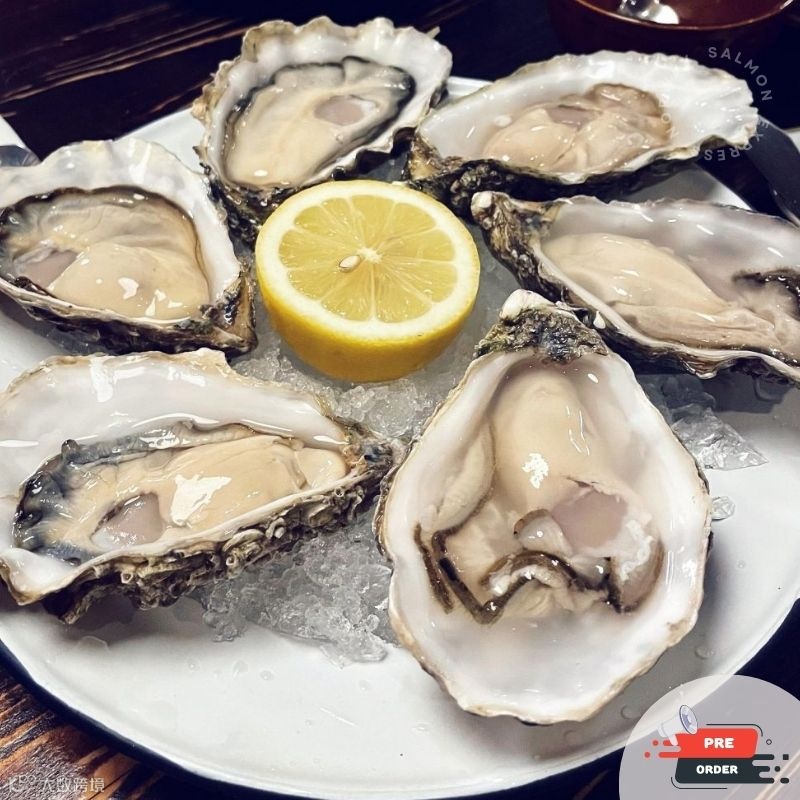 美國太平洋生蠔- 新鮮直送- 漁鮮快遞HK