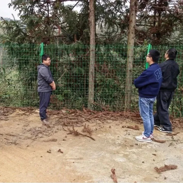 集團(tuán)要聞 | 集團(tuán)生態(tài)環(huán)境治理專項(xiàng)資金項(xiàng)目工作領(lǐng)導(dǎo)小組專項(xiàng)督導(dǎo)冊(cè)亨雙江項(xiàng)目安全施工工作