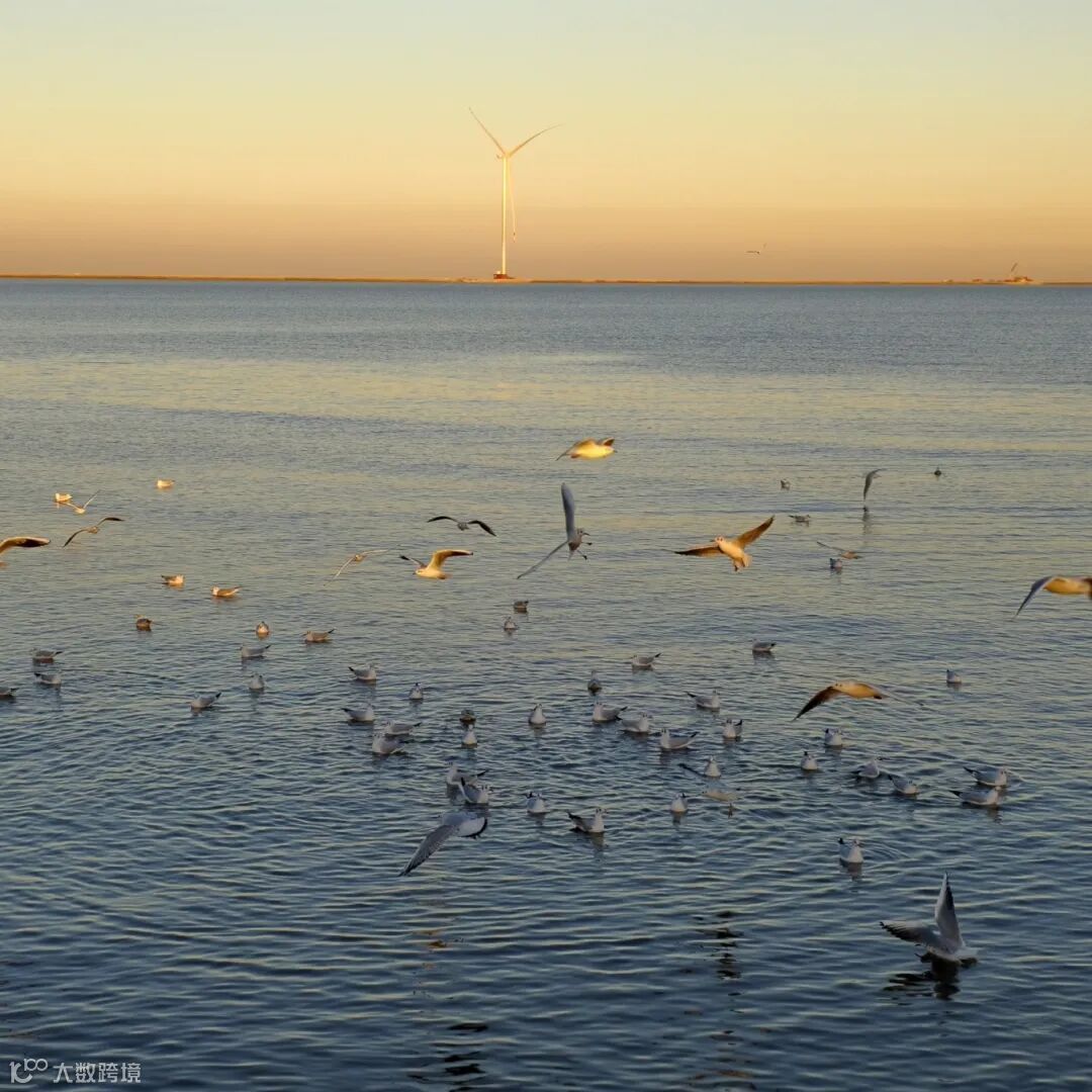 23.《黄昏与海鸥》 摄影：赵冰.jpg