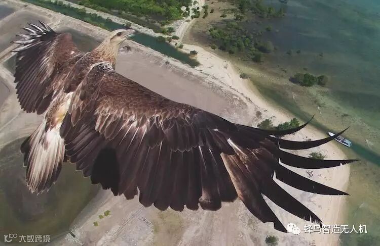 印度尼西亚Bali Barat国家公园.jpg