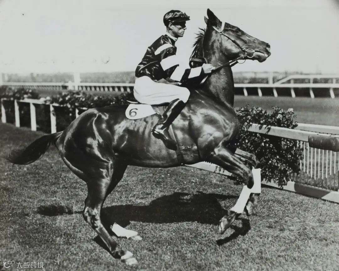 museums-victoria-bHCRnIgejVs-unsplash (1).jpg