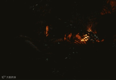 德克士史上第一款香水上线,烟熏味的!