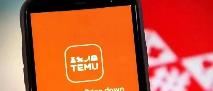 规避平台风控：temu采购下单系统技术搭建核心要点