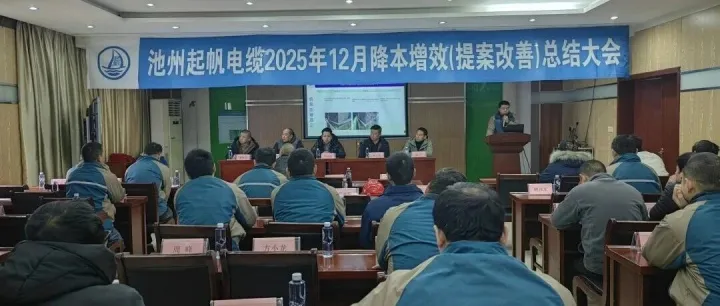 池州起帆电缆2025年12月降本增效（提案改善）总结大会