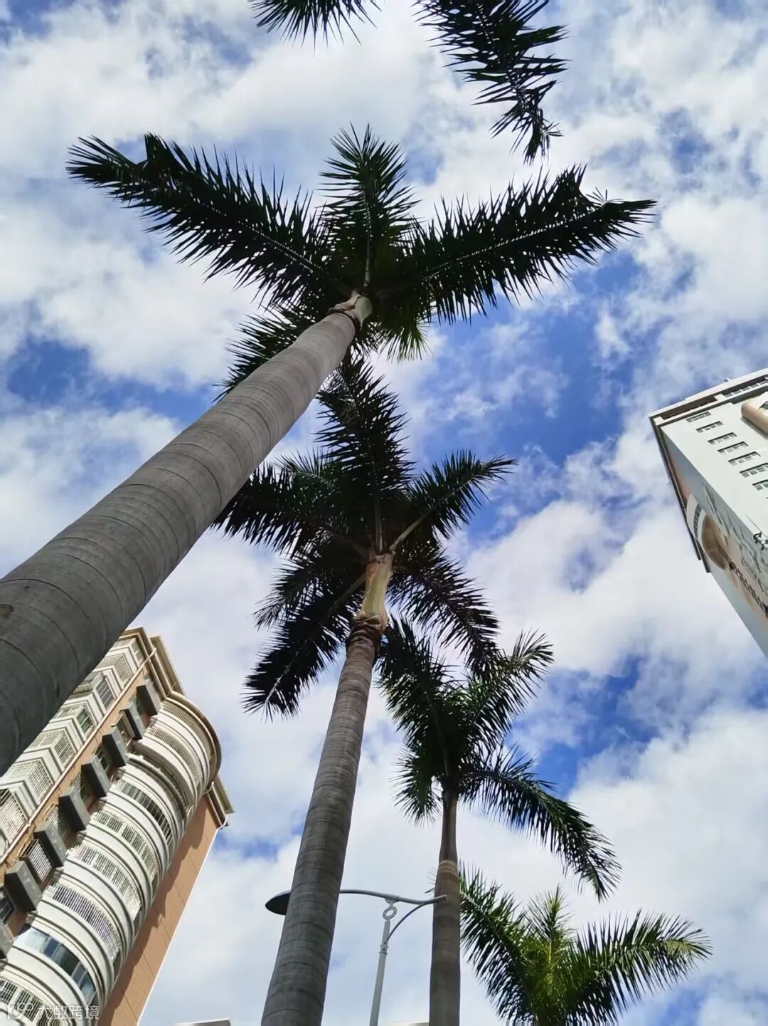 65.《向美而生》 摄影：刘建华.jpg