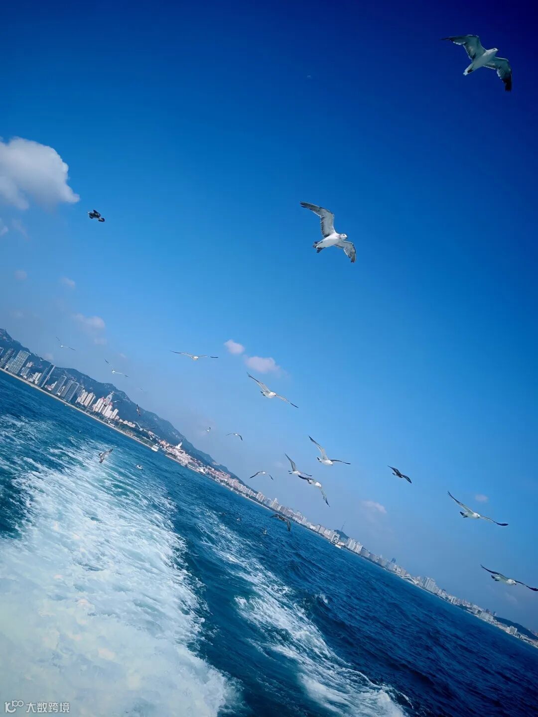 63.《追逐》 摄影：李玉龙.jpg