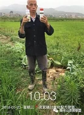 试验 活力稻 衡阳祁东.jpg