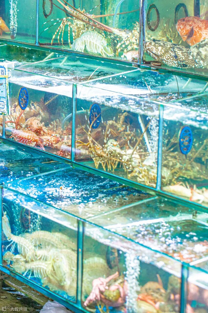 6 蓝色或黄色海鲜1.jpg