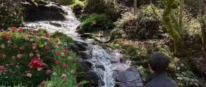 Tiktok当下所有市场我已经看透了