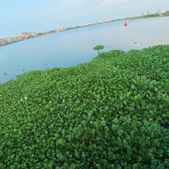 消博會(huì)期間系列活動(dòng)報(bào)名| 2026“購(gòu)在中國(guó)（海南站）·科技賦能消費(fèi)”活動(dòng)