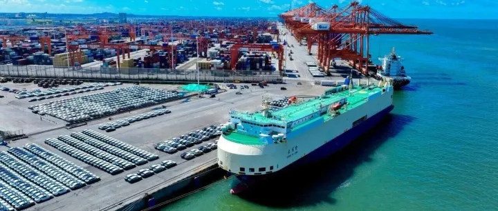 服务高质量发展 展现北港担当｜向海图强 在打造向海经济上当先锋