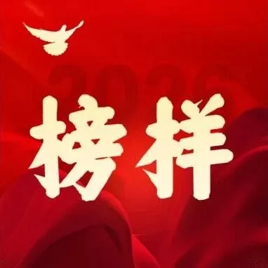 春华灼灼 群星闪耀 | 以赤诚之心，书写服务满分答卷