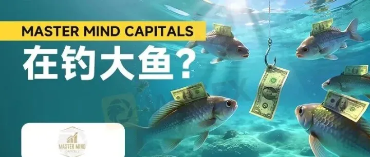 仿冒抹茶(MEXC)交易所  MASTER MIND CAPITALS平台新一轮收割