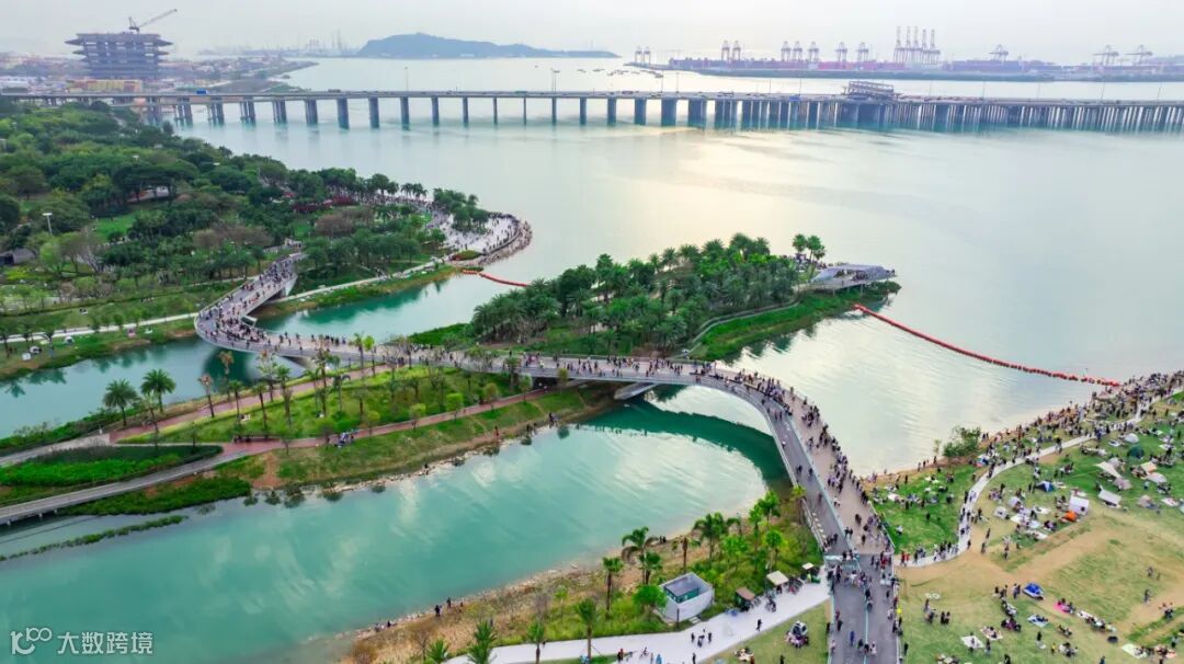 20250309 桂湾河口.jpg