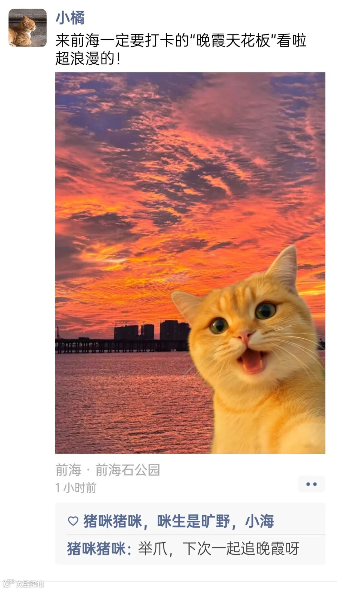 房地产产品营销实景风海报 (1).jpg