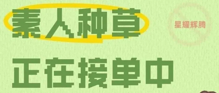素人种草发文 广告代发 帮发广告 正在接单中～